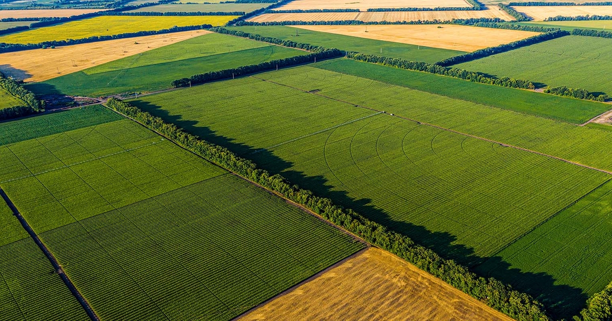 Acre of Farmland